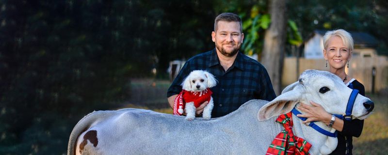 Man and woman smiling, holding a dog and posing with a cow