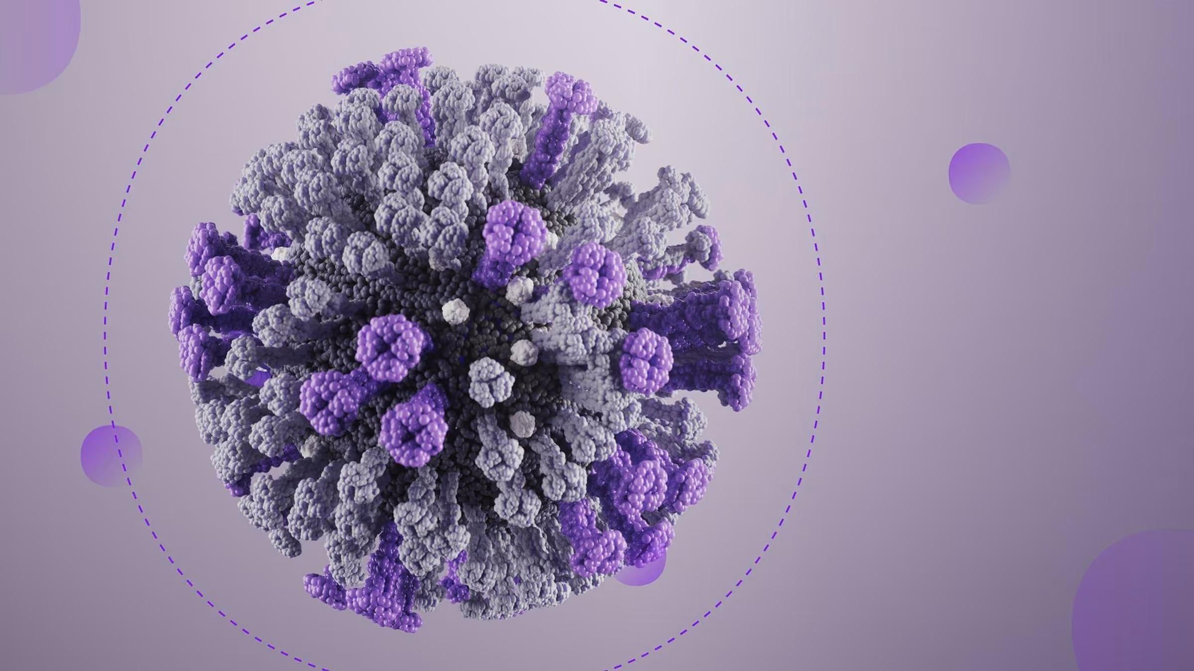 3D rendering of a purple and gray influenza virus particle on a gradient purple background.