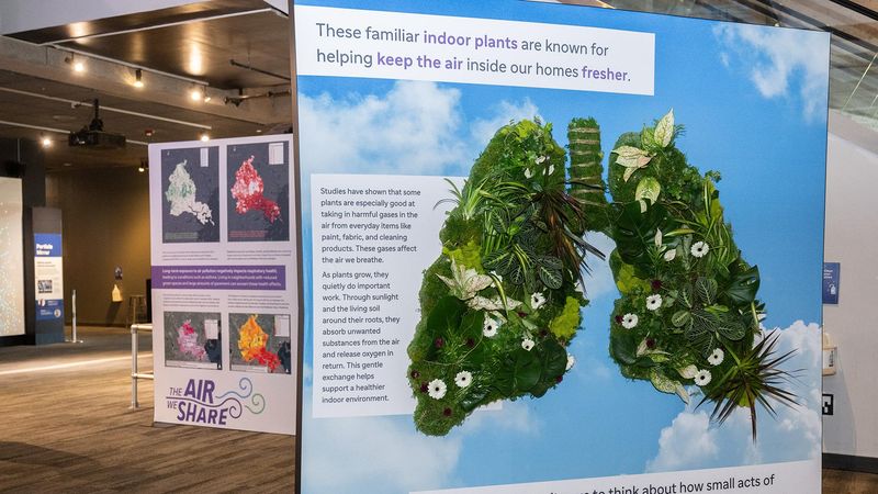 Large interactive museum display showing two lung-shaped installations made of living plants and greenery against a blue sky backdrop. Educational text explains how indoor plants absorb harmful gases from paint, fabric, and cleaning products while releasing oxygen. The display is part of 'The Air We Share' initiative, located in a modern exhibition space with additional informational panels visible.