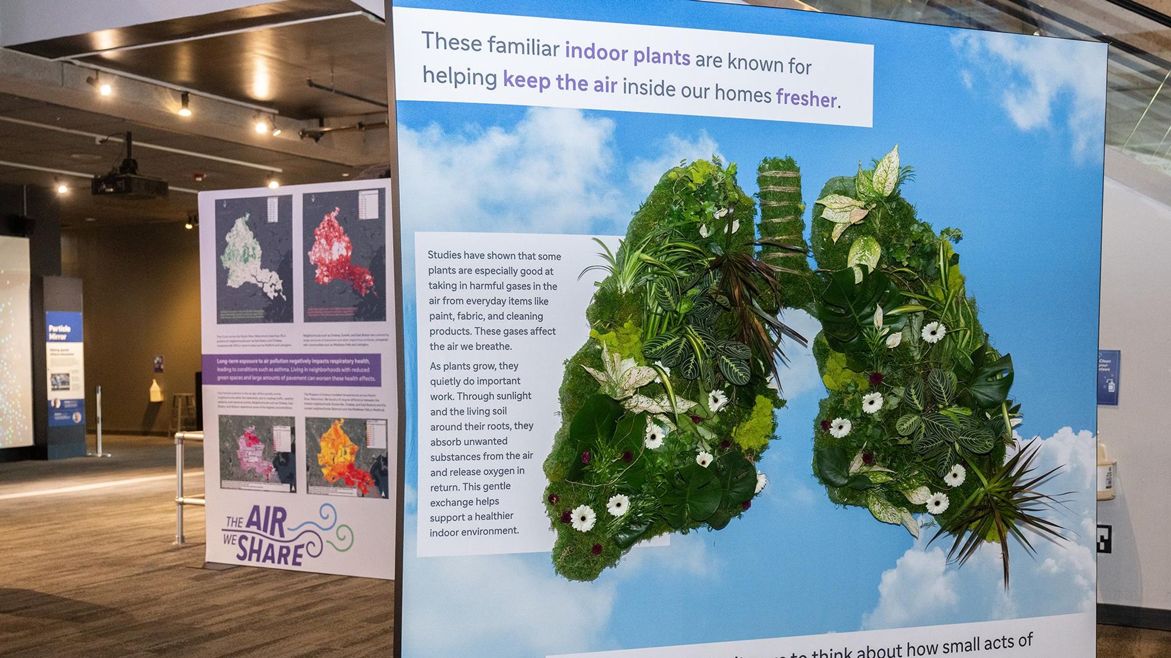 Large interactive museum display showing two lung-shaped installations made of living plants and greenery against a blue sky backdrop. Educational text explains how indoor plants absorb harmful gases from paint, fabric, and cleaning products while releasing oxygen. The display is part of 'The Air We Share' initiative, located in a modern exhibition space with additional informational panels visible.