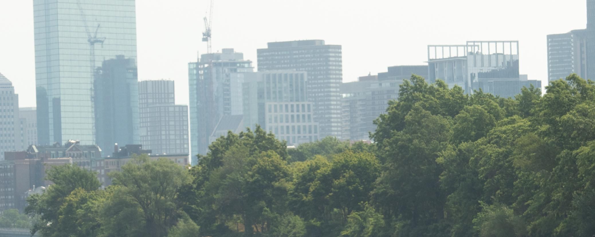 A cityscape of modern glass buildings partially obscured by hazy, pollution-tinged air, with lush green trees in the foreground — illustrating the impact of air quality on urban communities and respiratory health.